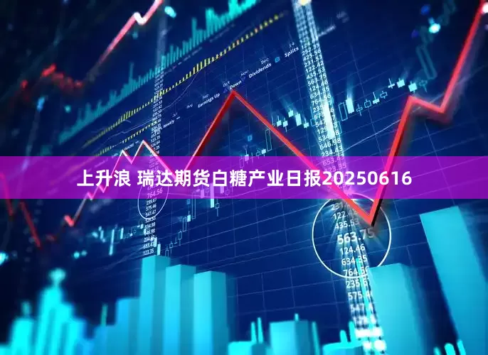上升浪 瑞达期货白糖产业日报20250616