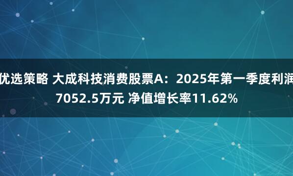 优选策略 大成科技消费股票A：2025年第一季度利润7052.5万元 净值增长率11.62%