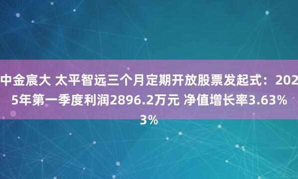 中金宸大 太平智远三个月定期开放股票发起式：2025年第一季度利润2896.2万元 净值增长率3.63%