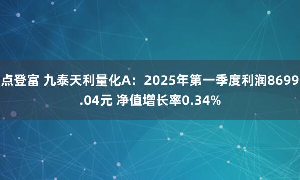 点登富 九泰天利量化A：2025年第一季度利润8699.04元 净值增长率0.34%