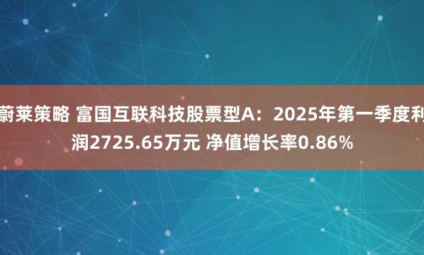蔚莱策略 富国互联科技股票型A：2025年第一季度利润2725.65万元 净值增长率0.86%
