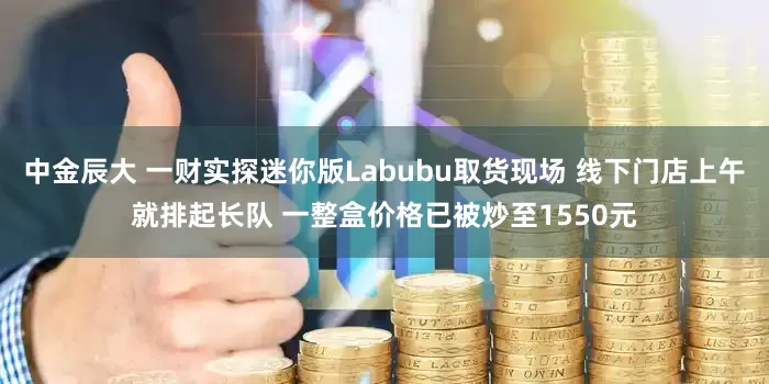 中金辰大 一财实探迷你版Labubu取货现场 线下门店上午就排起长队 一整盒价格已被炒至1550元